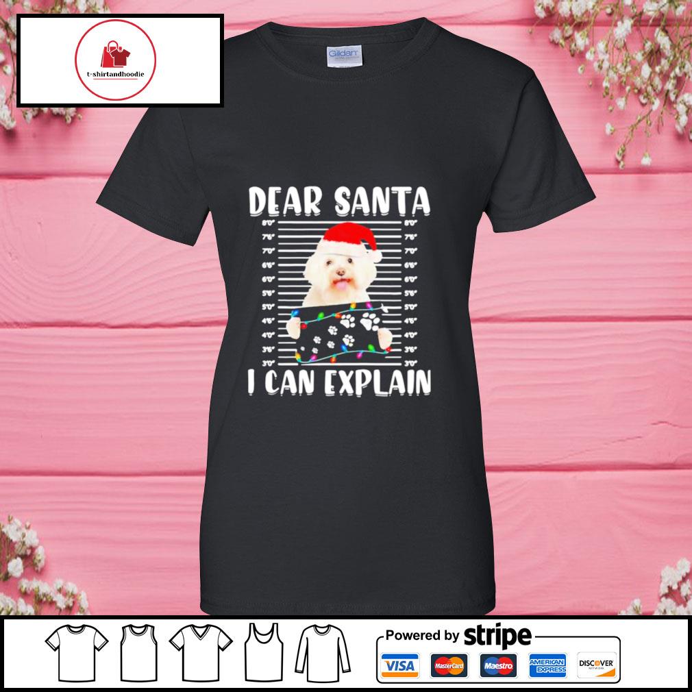 Dear santa i clearance can explain sweater